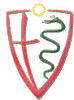 Uporabniški avatar